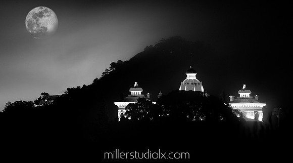 Telmo Miller Fotografia