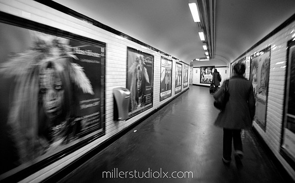 Telmo Miller Fotografia