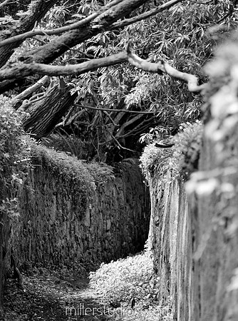 Telmo Miller Fotografia